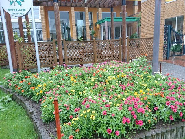 道 の 駅 にし おこっ ぺ 花 夢